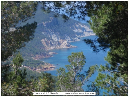 Torrent de s'Hort de sa Cova